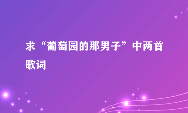 求“葡萄园的那男子”中两首歌词