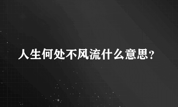 人生何处不风流什么意思？