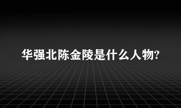 华强北陈金陵是什么人物?