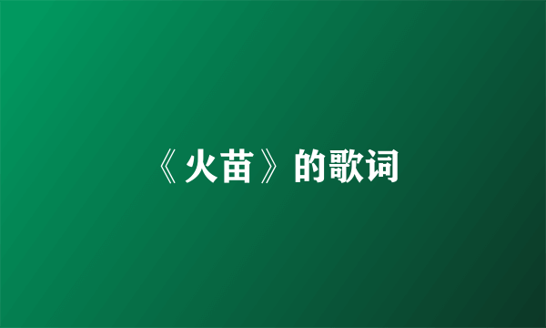《火苗》的歌词