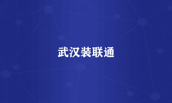 武汉装联通
