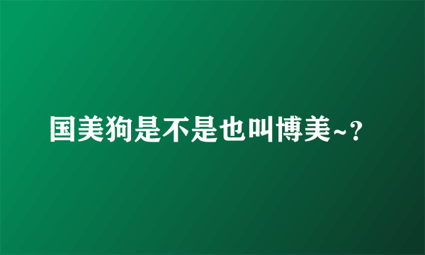 国美狗是不是也叫博美~？