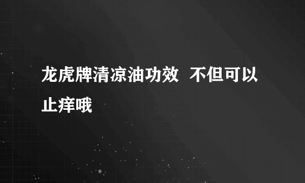 龙虎牌清凉油功效  不但可以止痒哦