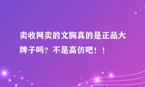 卖收网卖的文胸真的是正品大牌子吗？不是高仿吧！！