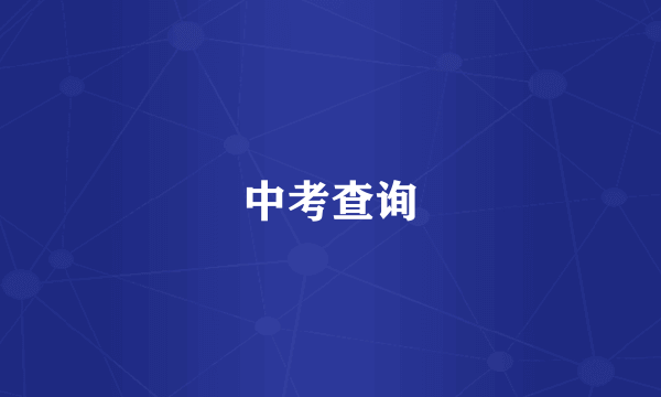 中考查询