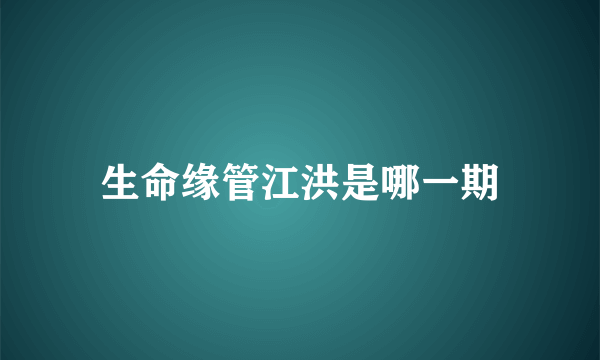 生命缘管江洪是哪一期