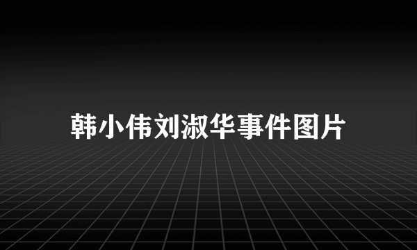 韩小伟刘淑华事件图片