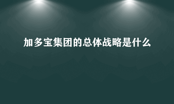 加多宝集团的总体战略是什么