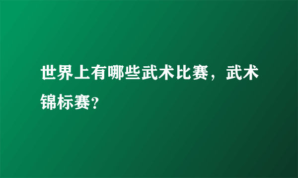 世界上有哪些武术比赛，武术锦标赛？