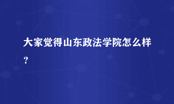 大家觉得山东政法学院怎么样？