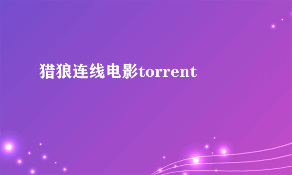 猎狼连线电影torrent