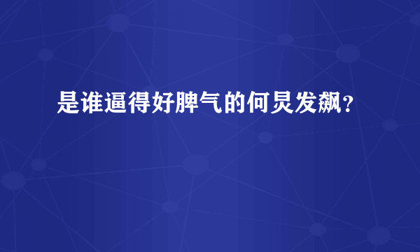 是谁逼得好脾气的何炅发飙？