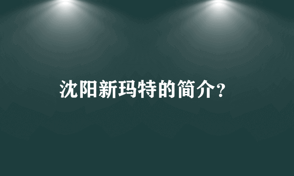 沈阳新玛特的简介？