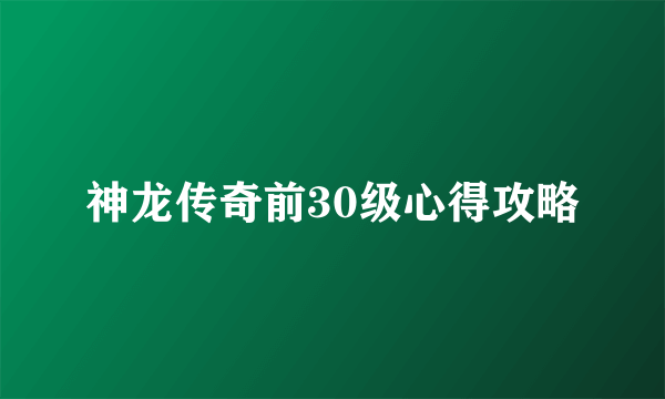 神龙传奇前30级心得攻略