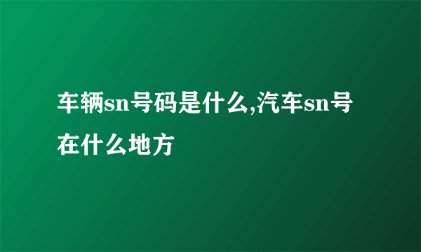 车辆sn号码是什么,汽车sn号在什么地方