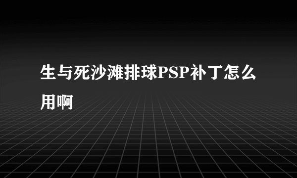 生与死沙滩排球PSP补丁怎么用啊