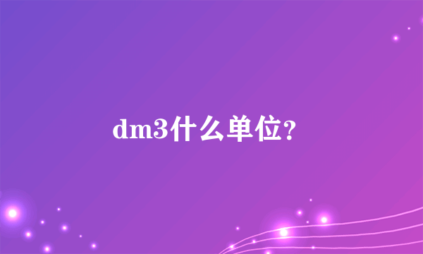 dm3什么单位？