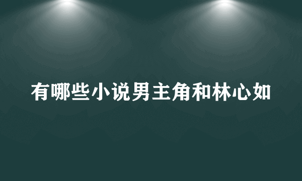 有哪些小说男主角和林心如