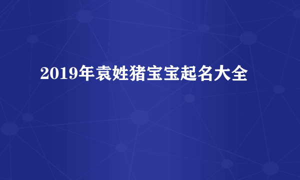 2019年袁姓猪宝宝起名大全