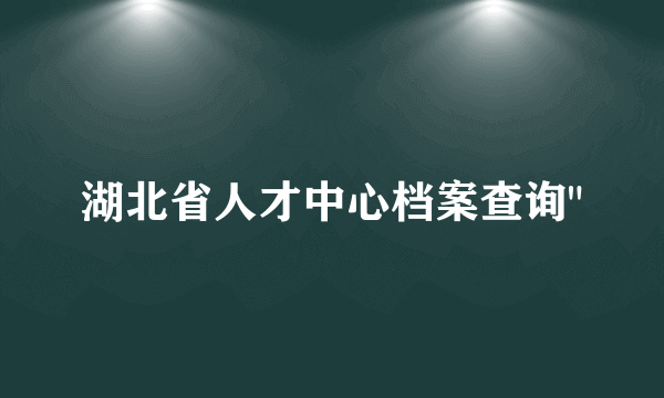 湖北省人才中心档案查询