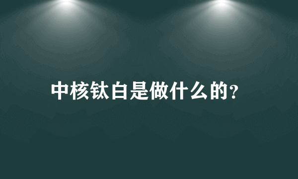 中核钛白是做什么的？
