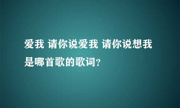 爱我 请你说爱我 请你说想我 是哪首歌的歌词？