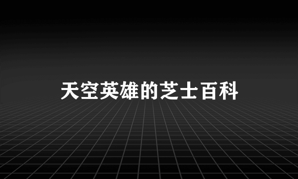 天空英雄的芝士百科