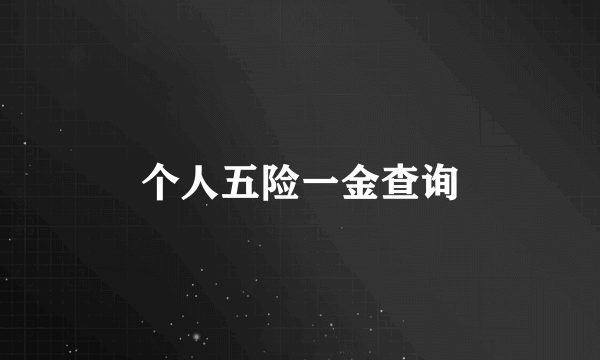 个人五险一金查询