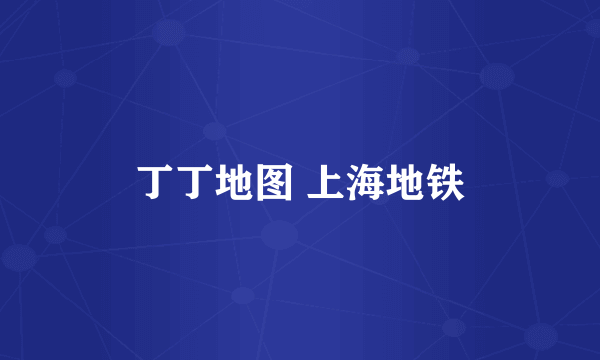丁丁地图 上海地铁