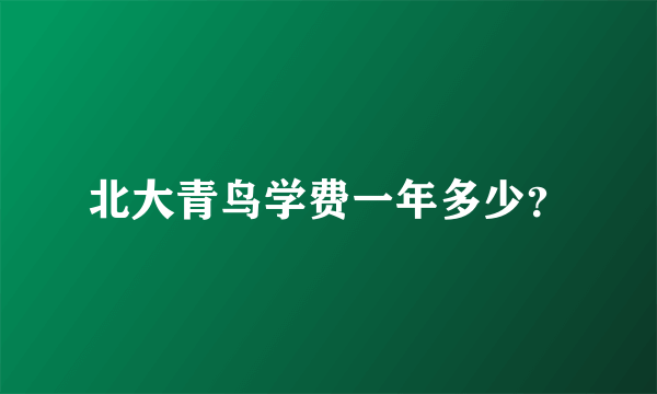 北大青鸟学费一年多少？
