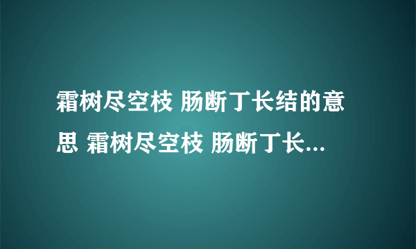 霜树尽空枝 肠断丁长结的意思 霜树尽空枝 肠断丁长结的意思是什么