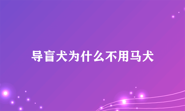 导盲犬为什么不用马犬