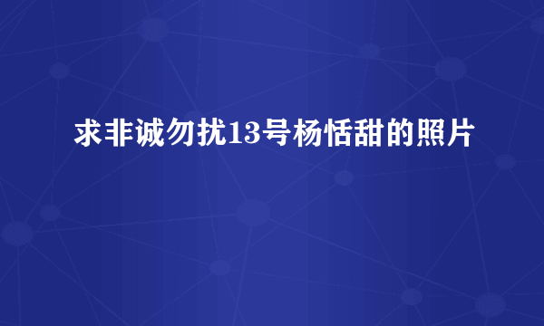 求非诚勿扰13号杨恬甜的照片