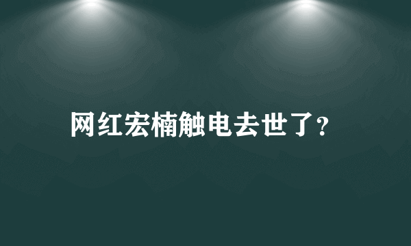 网红宏楠触电去世了？