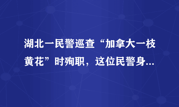 湖北一民警巡查“加拿大一枝黄花”时殉职，这位民警身上有哪些优秀的品质？