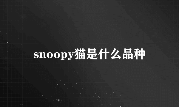 snoopy猫是什么品种