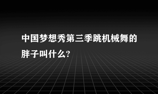 中国梦想秀第三季跳机械舞的胖子叫什么?
