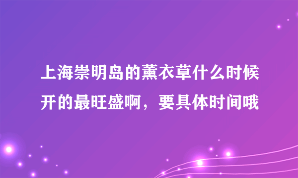 上海崇明岛的薰衣草什么时候开的最旺盛啊，要具体时间哦