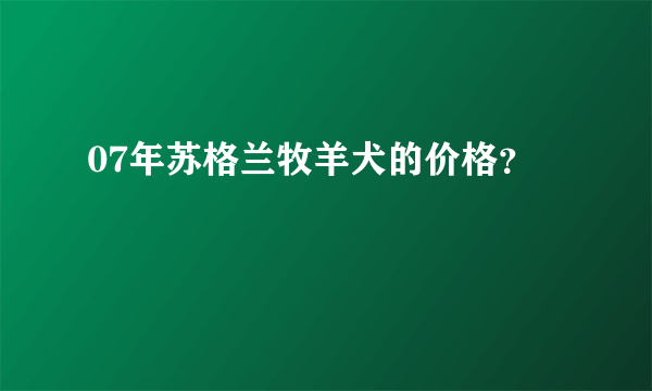 07年苏格兰牧羊犬的价格？