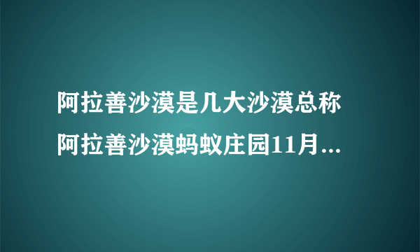 阿拉善沙漠是几大沙漠总称 阿拉善沙漠蚂蚁庄园11月23日最新答案