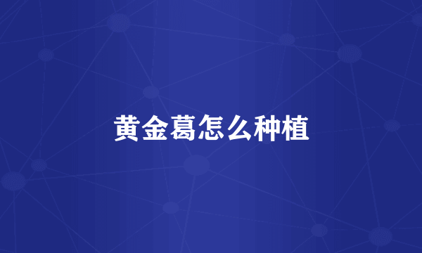 黄金葛怎么种植
