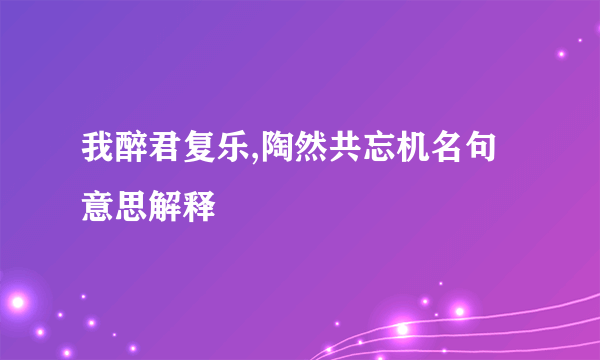 我醉君复乐,陶然共忘机名句意思解释