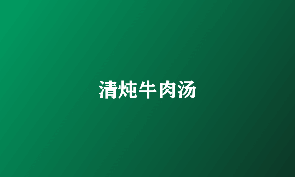 清炖牛肉汤