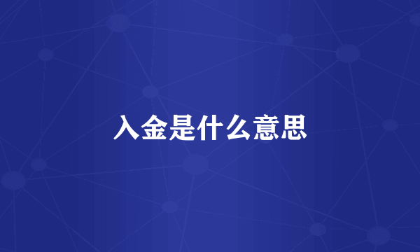 入金是什么意思
