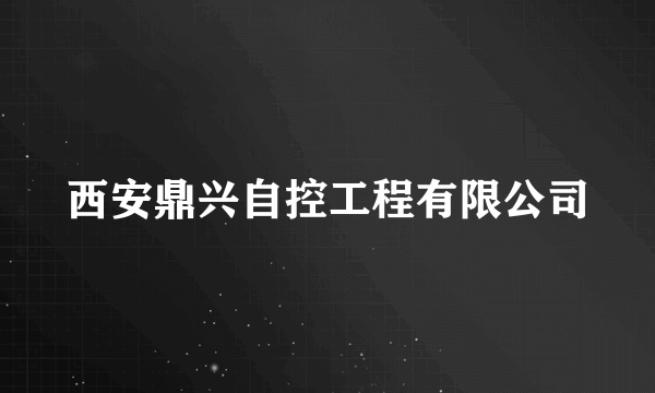 西安鼎兴自控工程有限公司