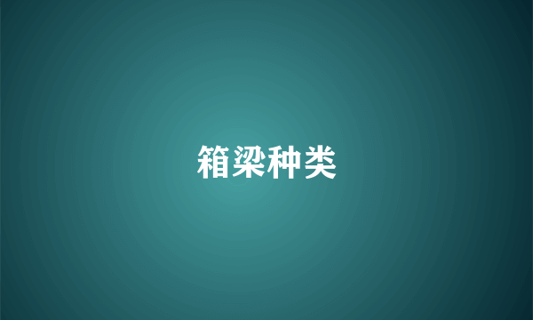 箱梁种类