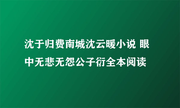沈于归费南城沈云暖小说 眼中无悲无怨公子衍全本阅读