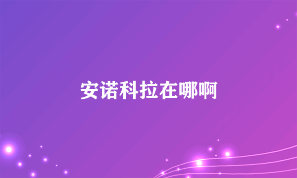 安诺科拉在哪啊