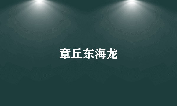 章丘东海龙