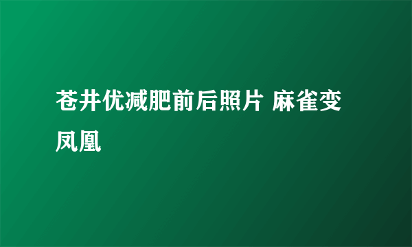 苍井优减肥前后照片 麻雀变凤凰